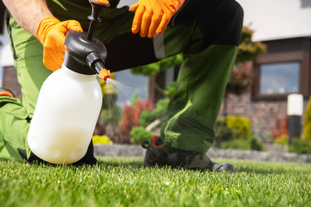 Pest Control Cost in Newton, MA