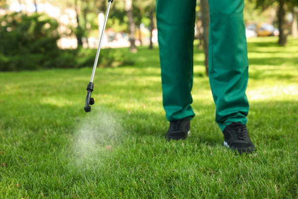 Best Pest Control Near Me in Newton, MA