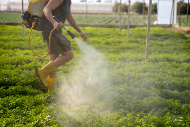 Best Affordable Pest Control Services  in Newton, MA
