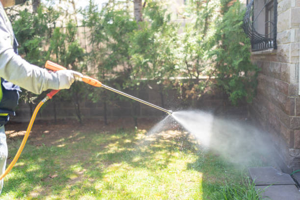 Best Affordable Pest Control Services  in Newton, MA