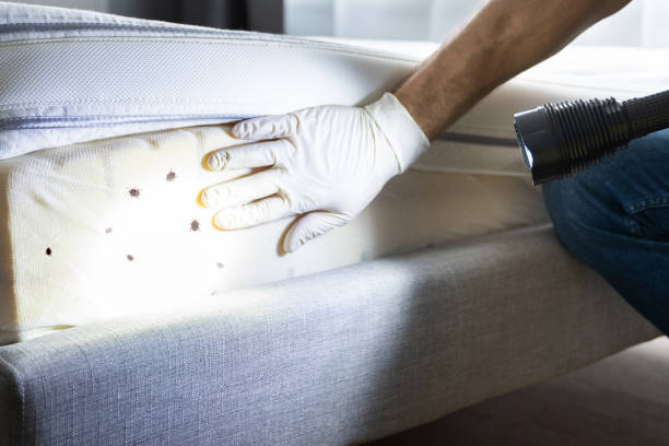 Best Pest Control Cost  in Newton, MA