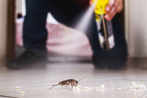 Best Best Pest Control Near Me  in Newton, MA