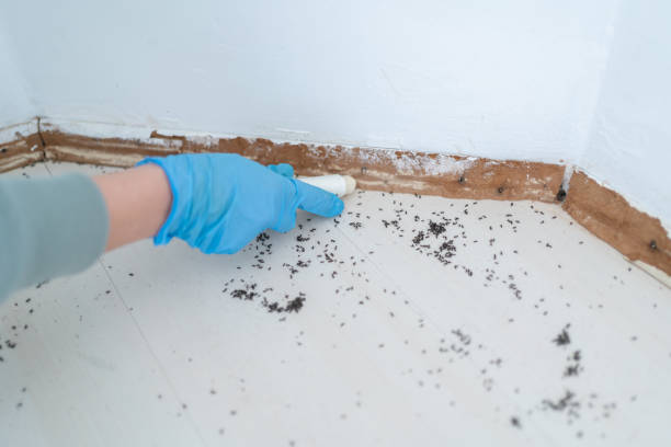 Newton, MA Pest Control Company